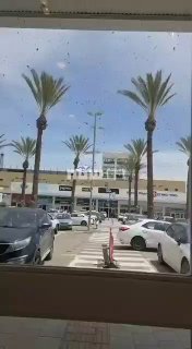 Десятки тысяч пчел атаковали торговый центр в израильском Нетивоте