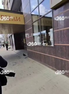 В Ставрополе ищут сбежавшую обезьяну