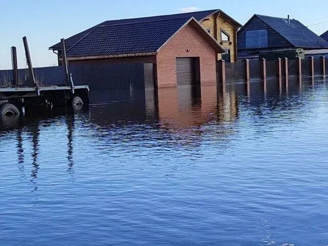 Иллюстрация 1