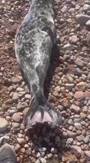 Иллюстрация 2