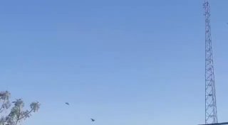 Пакистан выступил посредником в переговорах между США и Ираном