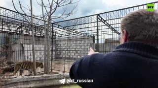 Владелец зоопарка в Васильевке отказывается уезжать из-за близости к передовой