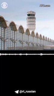 Американские пилоты мяукали и гавкали во время полета