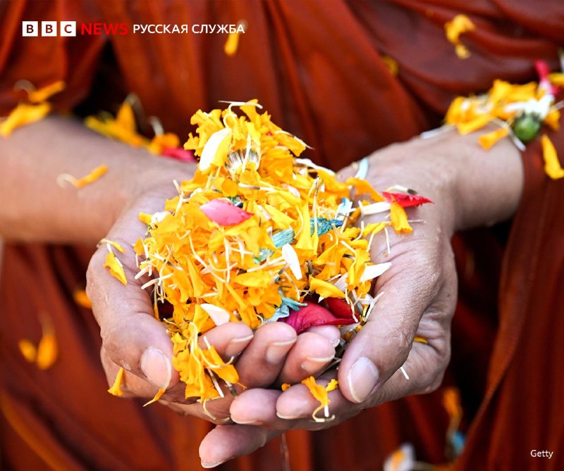 Иллюстрация 6