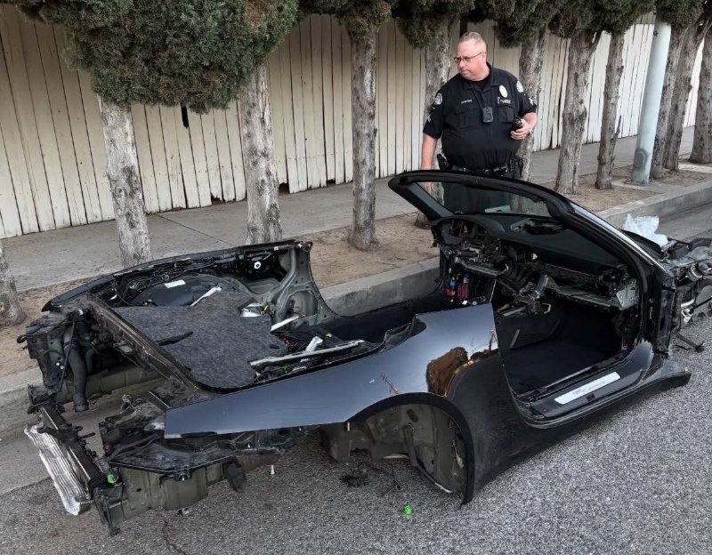 Иллюстрация 1