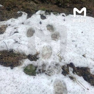 Иллюстрация 3