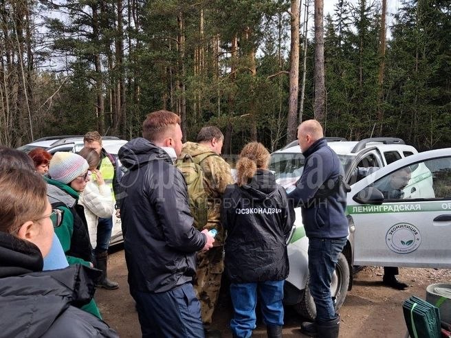 Иллюстрация 2