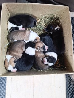 Иллюстрация 2