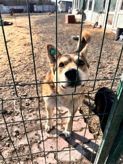 Иллюстрация 3