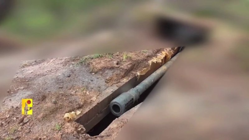 Иллюстрация 5