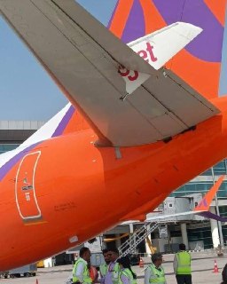 Иллюстрация 4