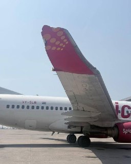 Иллюстрация 5