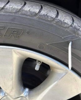 Иллюстрация 2