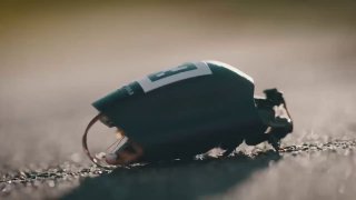 Жуки-разведчики поступили на вооружение в НАТО