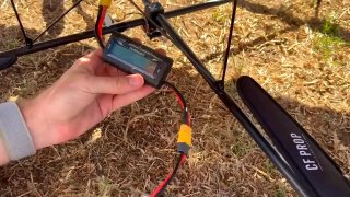 Иллюстрация 2