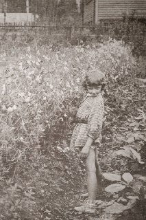 Иллюстрация 4