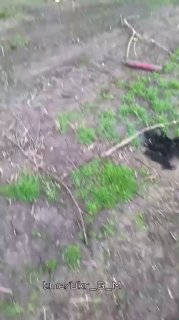 Последствия прилета российского FPV-дрона по пикапу ВСУ на Славянском направлении