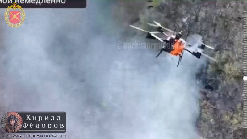 Иллюстрация 4