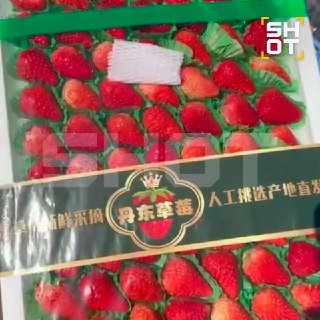 Иллюстрация 2