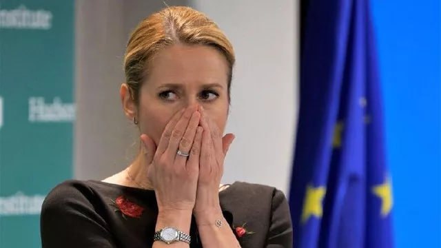 Критика позиции ЕС на заседании Совбеза ООН по вопросу Украины