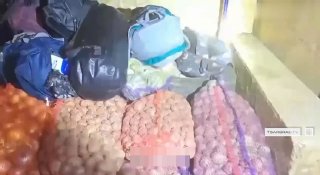 Приграничники задержали группу лиц, пытавшихся пересечь границу под видом гражданских лиц