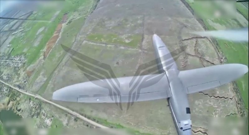 Иллюстрация 3