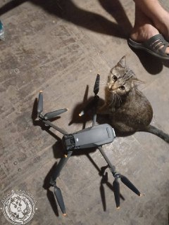 Призыв к фронтовикам присылать фото и видео своего быта