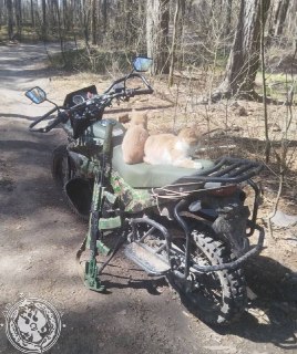 Иллюстрация 6