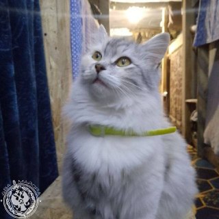 Иллюстрация 2