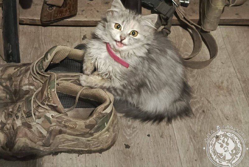 Иллюстрация 9