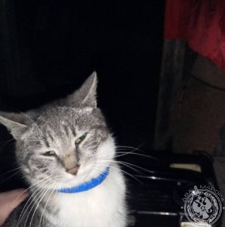 Иллюстрация 10