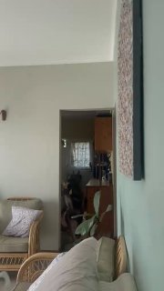 Бабуин-воришка стал звездой соцсетей