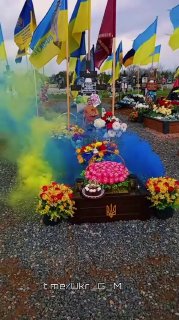 Иллюстрация 3