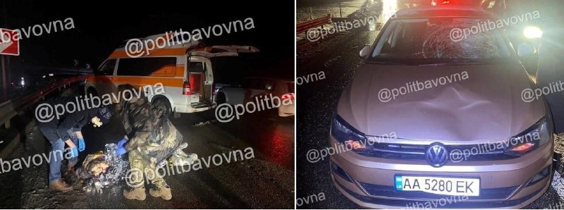 Бывшая депутатка Ярина Арьева получила условный срок за ДТП в Киеве