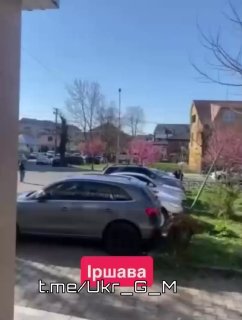 Иллюстрация 1