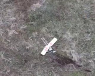 Российские бойцы сбили два вражеских БПЛА на этой неделе