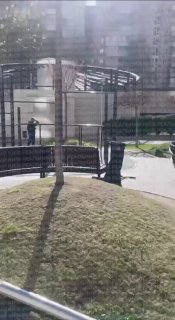 Иллюстрация 4