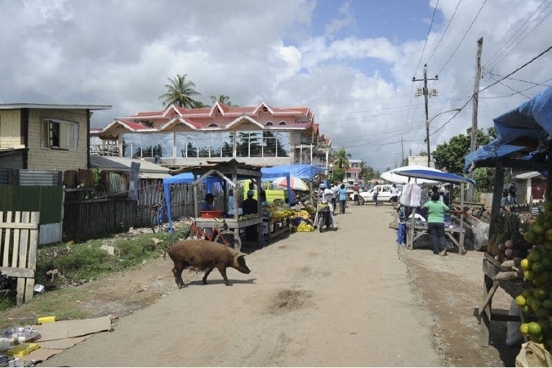 Иллюстрация 2