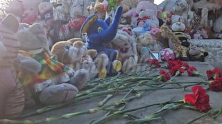 Женщина из Донецка своими руками создала аллею памяти погибшим детям Донбасса