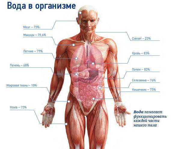 Влияние обезвоживания на эффективность лекарств в боевых условиях