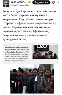 Реакция европейцев на планы Украины по привлечению мигрантов из Пакистана, Бангладеш и Африки