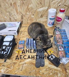 Доброе утро, десантное братство: зарядка и пожелания спокойствия