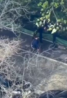 Полицейские в Киеве разбегаются при виде преступника