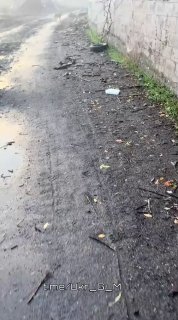 Колоссальные потери ВСУ в живой силе и технике под ударами ВС РФ