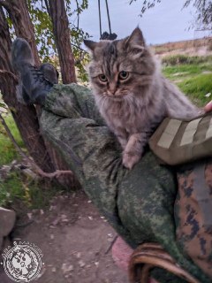 Иллюстрация 2