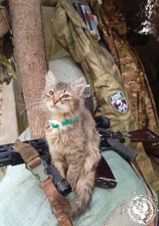 Иллюстрация 3