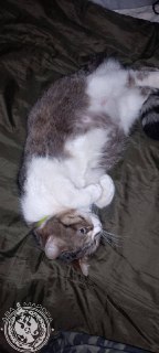 Иллюстрация 6