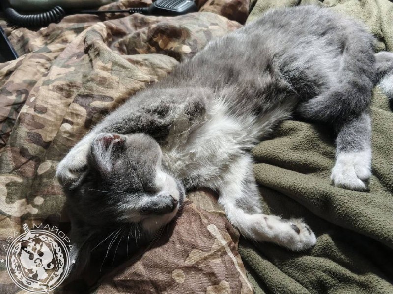 Иллюстрация 8