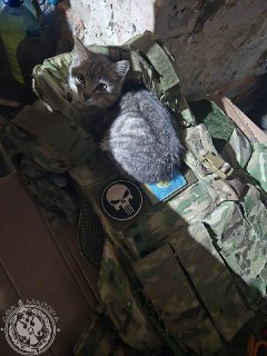 Иллюстрация 10