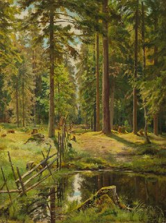 Шишкин «Еловый лес»: этюд или полноценная картина?